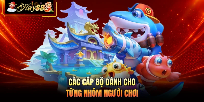 Nhà cái Hay88 Các cấp độ dành cho từng nhóm người chơi